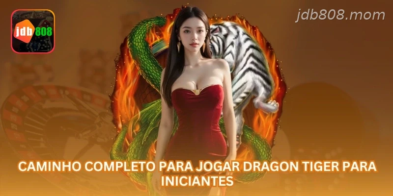 Caminho completo para jogar Dragon Tiger para iniciantes.